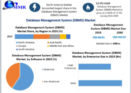 Database Management System (DBMS) Market: Growth Opportunities in AI-Driven Data Platforms 2030