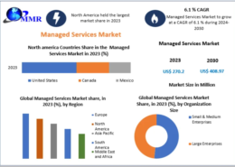 Managed Services Market Trends, Growth, and Forecast 2024-2030