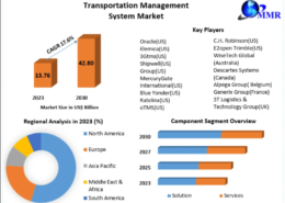 Transportation Management System Market Innovations Driving Supply Chain Efficiency