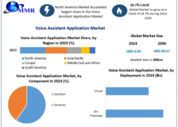 Voice Assistant Application Market Outlook: Global Industry Analysis and Insights 2030