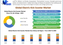 Electric Kick Scooter Market Global Size Regional Insights and Forecast 2030