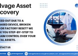HIRE SALVAGE ASSET RECOVERY  TO GET BACK YOUR BITCOIN OR OTHER CRYPTO ASSETS LOST TO SCAMMERS